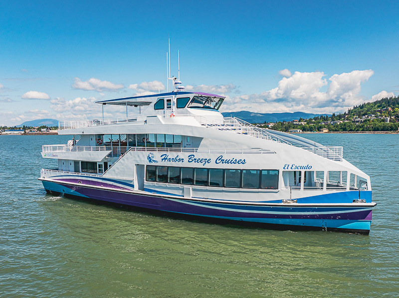 White and blue passenger ferry cruising on calm green water